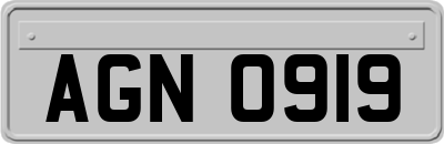 AGN0919