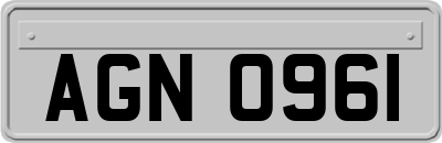 AGN0961
