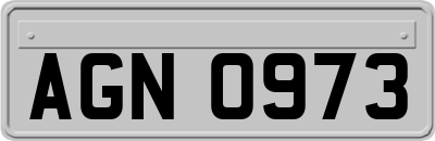 AGN0973