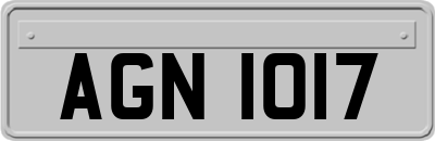 AGN1017