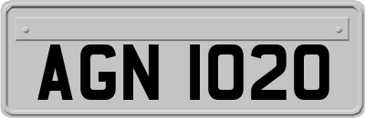 AGN1020