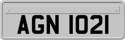 AGN1021