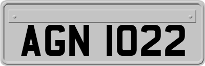 AGN1022
