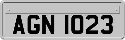 AGN1023