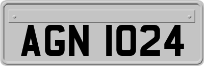 AGN1024