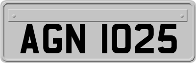 AGN1025