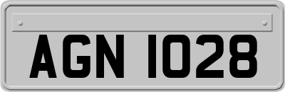 AGN1028