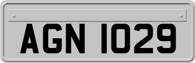 AGN1029
