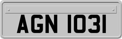 AGN1031