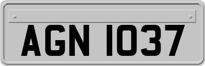AGN1037