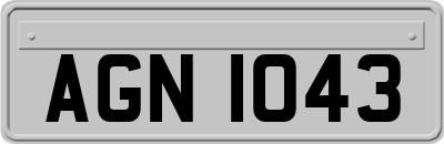 AGN1043