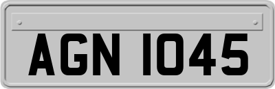 AGN1045