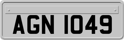 AGN1049