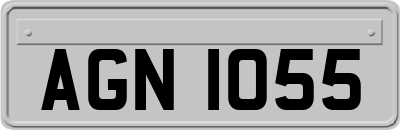 AGN1055