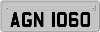 AGN1060