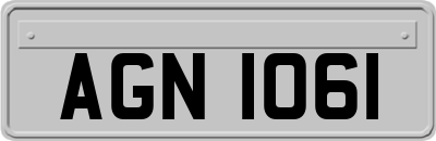 AGN1061