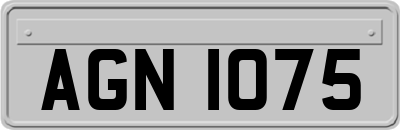 AGN1075