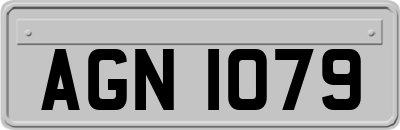 AGN1079