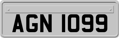 AGN1099