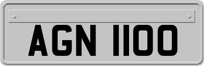 AGN1100