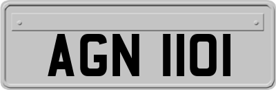 AGN1101