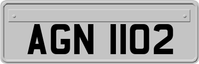 AGN1102