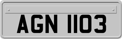 AGN1103