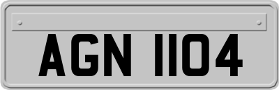 AGN1104
