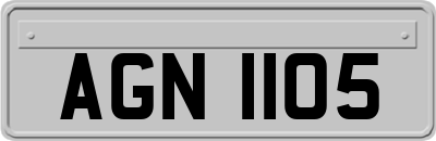 AGN1105
