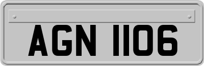 AGN1106