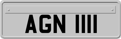 AGN1111