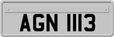 AGN1113