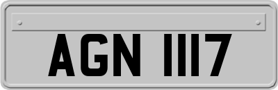 AGN1117