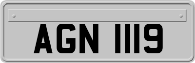 AGN1119