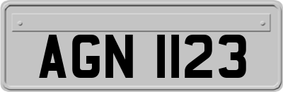AGN1123