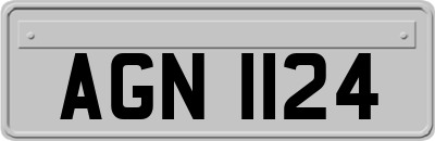 AGN1124