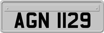 AGN1129