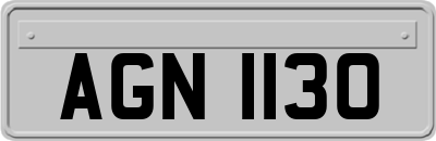 AGN1130