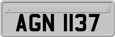 AGN1137