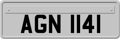 AGN1141