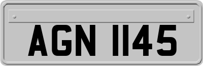 AGN1145