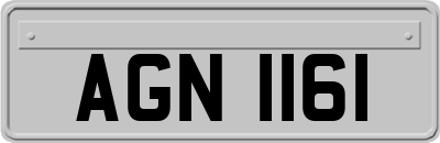 AGN1161