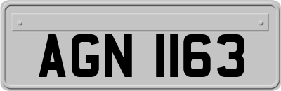 AGN1163
