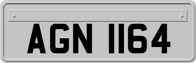 AGN1164
