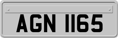 AGN1165
