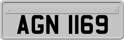 AGN1169