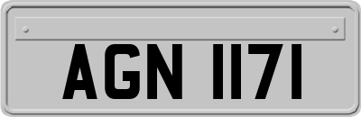 AGN1171