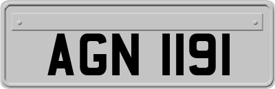 AGN1191