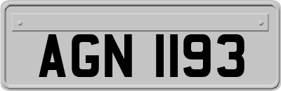 AGN1193