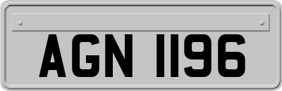 AGN1196
